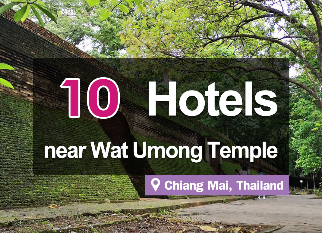 The 10 Best Hotels near Wat Umong Temple in Chiang Mai