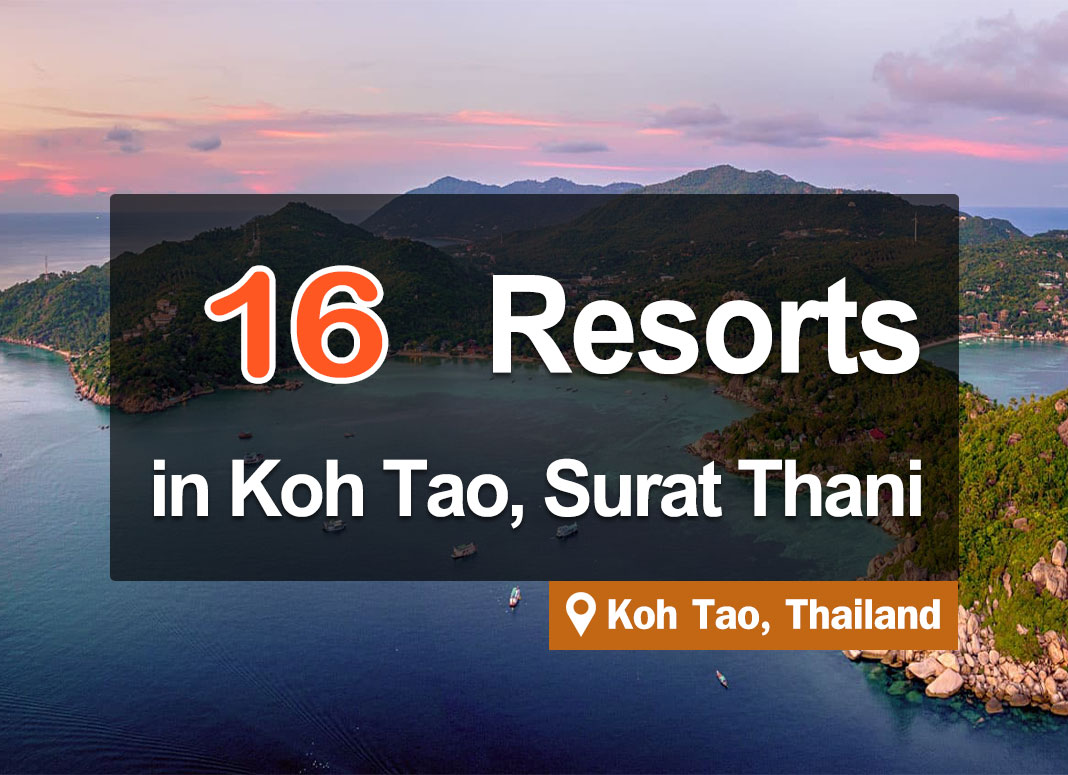 16 Resort at Koh Tao, located near the sea with beautiful scenery of the sea.