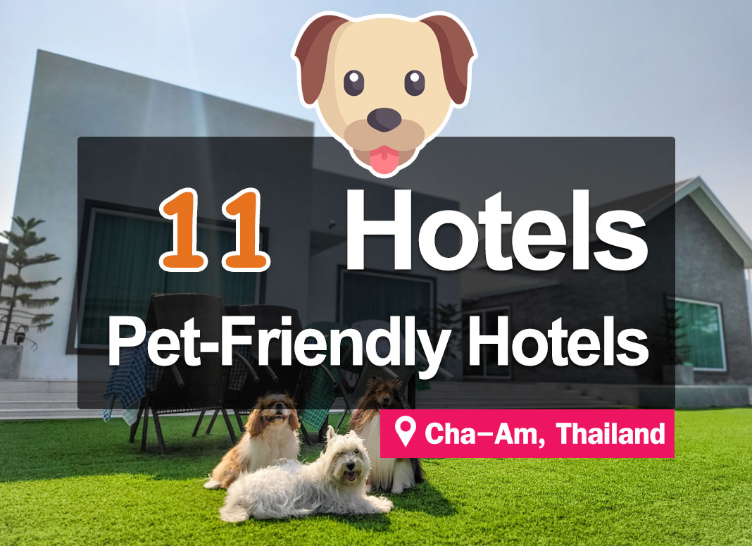 11 Pet-friendly Hotel Accommodations in Cha-am.