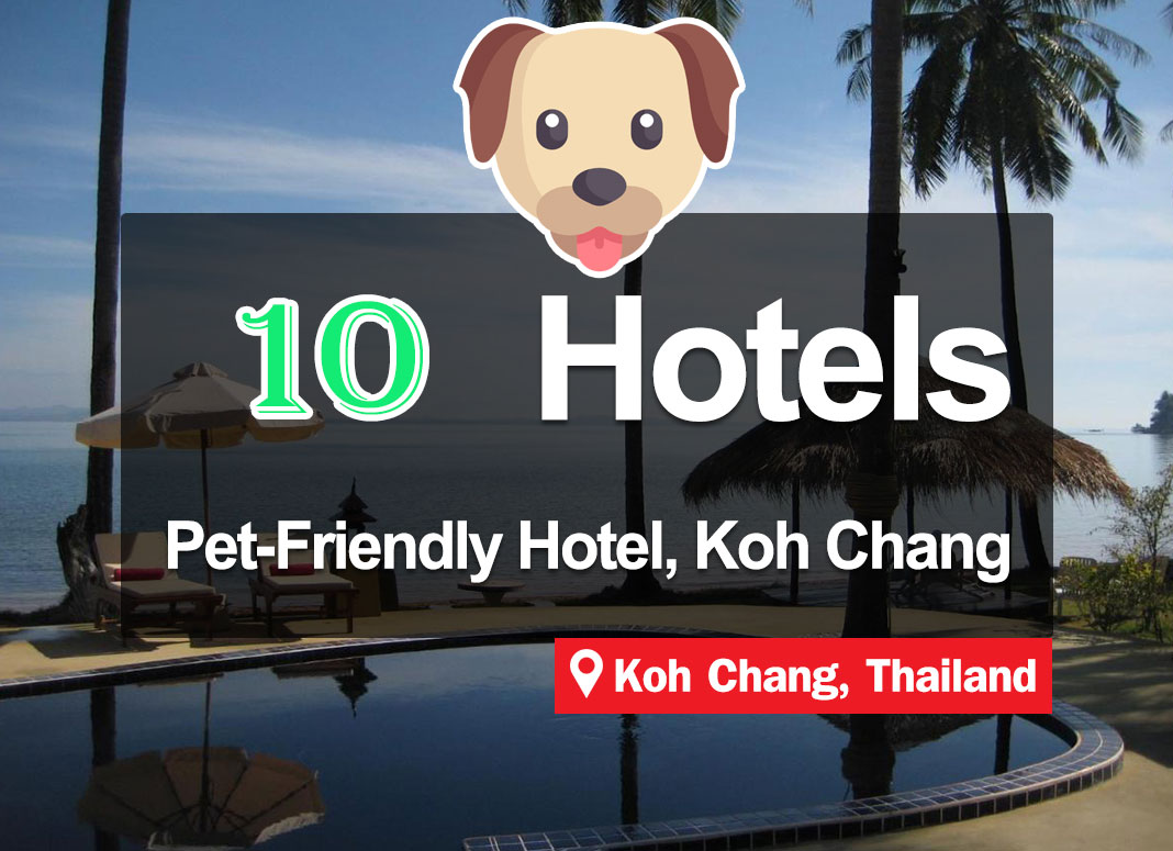 10 Pet-friendly Hotel Accommodations on Koh Chang.