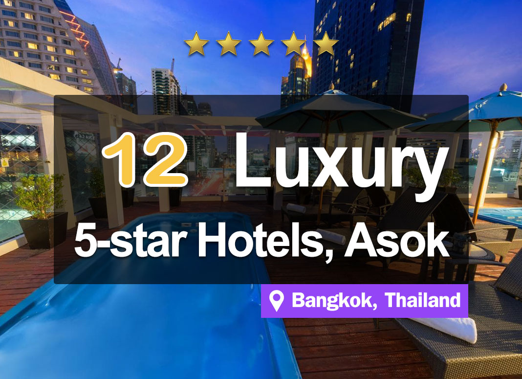 12 Luxurious 5-Star Hotel Accommodations in the Asoke area. Right in the center of Bangkok.