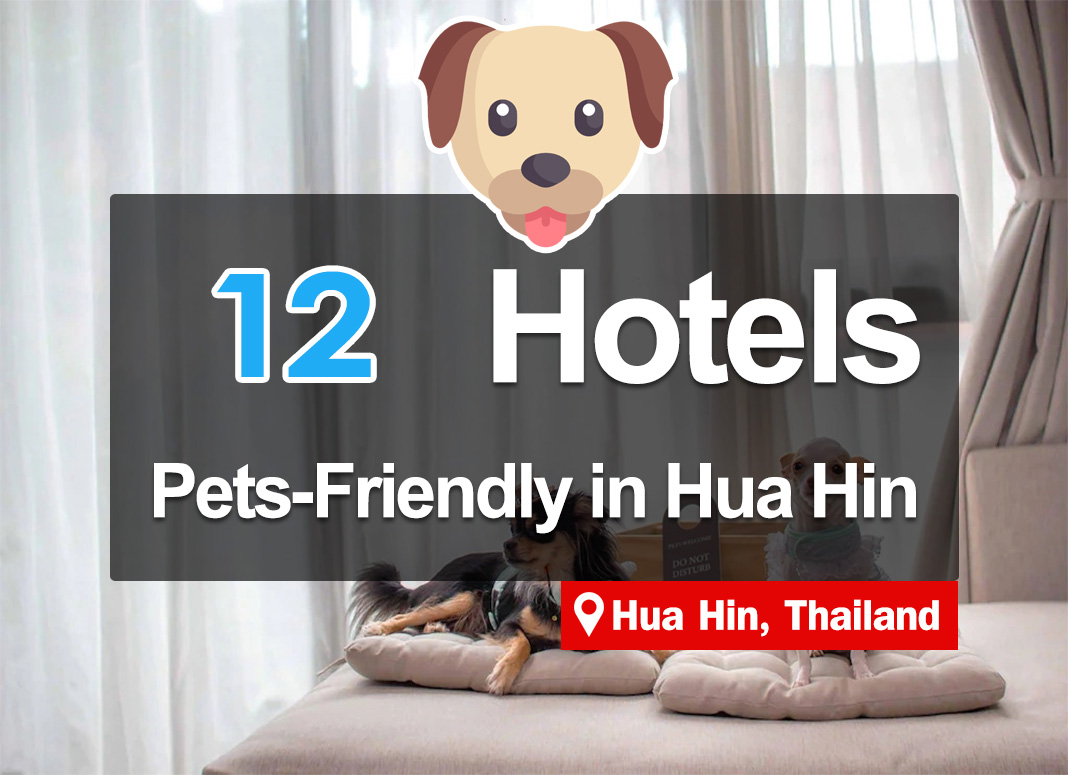 12 Hotel accommodations in Hua Hin. Pets are allowed.